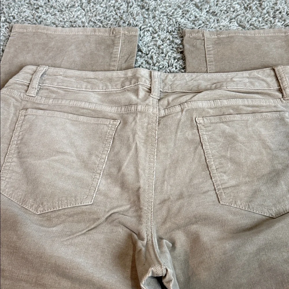 Apt. 9 Dark Khaki Colored Corduroy Pants Womens (14) - Picture 7 of 7